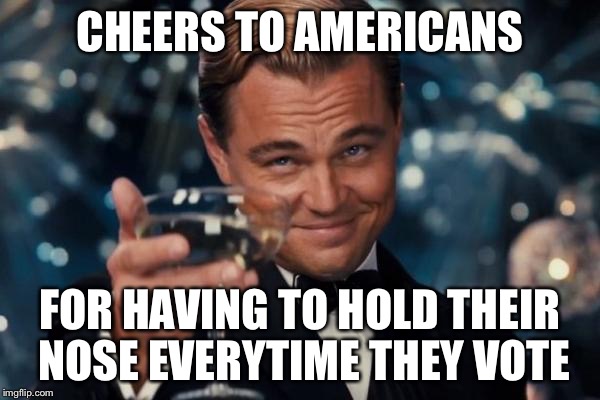 Leonardo Dicaprio Cheers Meme | CHEERS TO AMERICANS FOR HAVING TO HOLD THEIR NOSE EVERYTIME THEY VOTE | image tagged in memes,leonardo dicaprio cheers | made w/ Imgflip meme maker