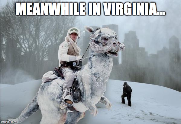 MEANWHILE IN VIRGINIA... | image tagged in winter | made w/ Imgflip meme maker