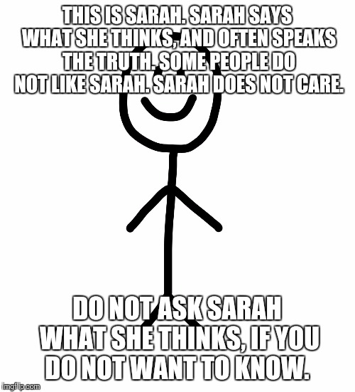 Stick figure | THIS IS SARAH. SARAH SAYS WHAT SHE THINKS, AND OFTEN SPEAKS THE TRUTH. SOME PEOPLE DO NOT LIKE SARAH. SARAH DOES NOT CARE. DO NOT ASK SARAH WHAT SHE THINKS, IF YOU DO NOT WANT TO KNOW. | image tagged in stick figure | made w/ Imgflip meme maker