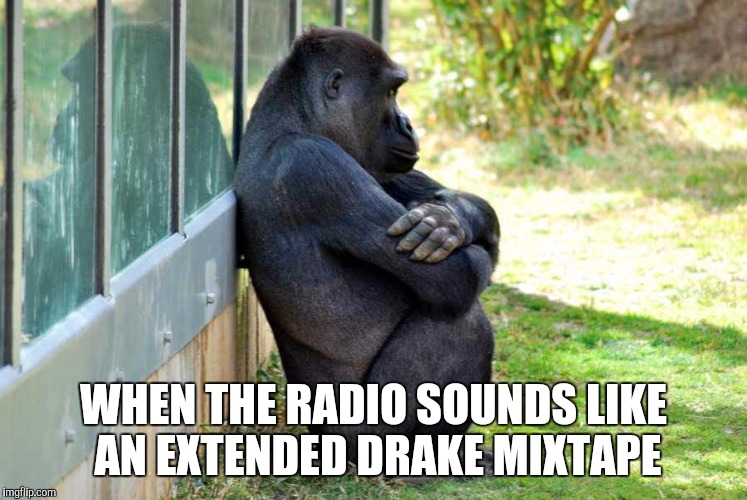 Drake | WHEN THE RADIO SOUNDS LIKE AN EXTENDED DRAKE MIXTAPE | image tagged in drake,mixtape | made w/ Imgflip meme maker