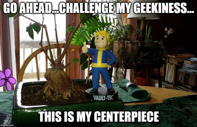 GO AHEAD...CHALLENGE MY GEEKINESS... THIS IS MY CENTERPIECE | image tagged in vault-tec,geekiness,challenge | made w/ Imgflip meme maker