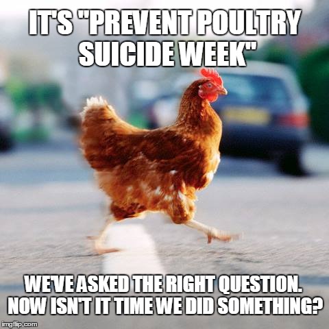 Prevent Poultry Suicide Week | IT'S "PREVENT POULTRY SUICIDE WEEK"; WE'VE ASKED THE RIGHT QUESTION. NOW ISN'T IT TIME WE DID SOMETHING? | image tagged in chicken,poultry,mental health,cars,farm,awareness | made w/ Imgflip meme maker