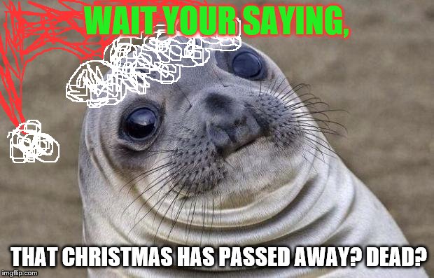 Awkward Moment Sealion | WAIT YOUR SAYING, THAT CHRISTMAS HAS PASSED AWAY? DEAD? | image tagged in memes,awkward moment sealion | made w/ Imgflip meme maker