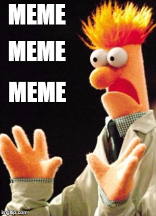 Meme | MEME; MEME; MEME | image tagged in beaker,muppets | made w/ Imgflip meme maker