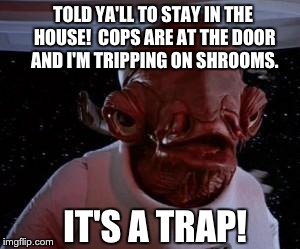 Admiral Ackbar | TOLD YA'LL TO STAY IN THE HOUSE!  COPS ARE AT THE DOOR AND I'M TRIPPING ON SHROOMS. IT'S A TRAP! | image tagged in admiral ackbar | made w/ Imgflip meme maker