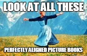 Look At All These Meme | LOOK AT ALL THESE; PERFECTLY ALIGNED PICTURE BOOKS | image tagged in memes,look at all these | made w/ Imgflip meme maker