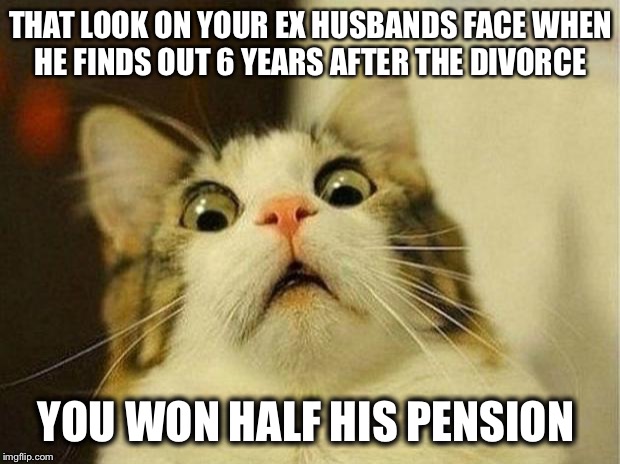 Scared Cat | THAT LOOK ON YOUR EX HUSBANDS FACE WHEN HE FINDS OUT 6 YEARS AFTER THE DIVORCE; YOU WON HALF HIS PENSION | image tagged in memes,scared cat | made w/ Imgflip meme maker