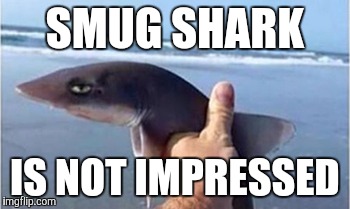 Smug Shark | SMUG SHARK; IS NOT IMPRESSED | image tagged in shark,not impressed,smug,smug shark | made w/ Imgflip meme maker