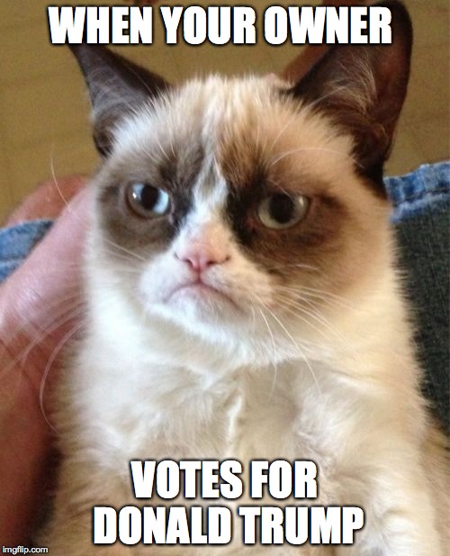 Grumpy Cat Meme | WHEN YOUR OWNER; VOTES FOR DONALD TRUMP | image tagged in memes,grumpy cat | made w/ Imgflip meme maker