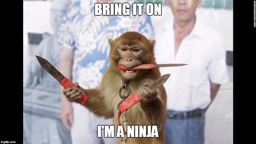 Ninja Monkey | BRING IT ON; I'M A NINJA | image tagged in monkey with knives,memes | made w/ Imgflip meme maker