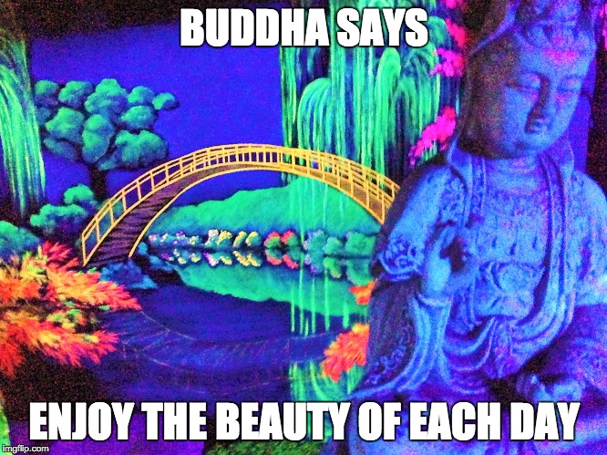 BUDDHA SAYS; ENJOY THE BEAUTY OF EACH DAY | image tagged in buddha | made w/ Imgflip meme maker