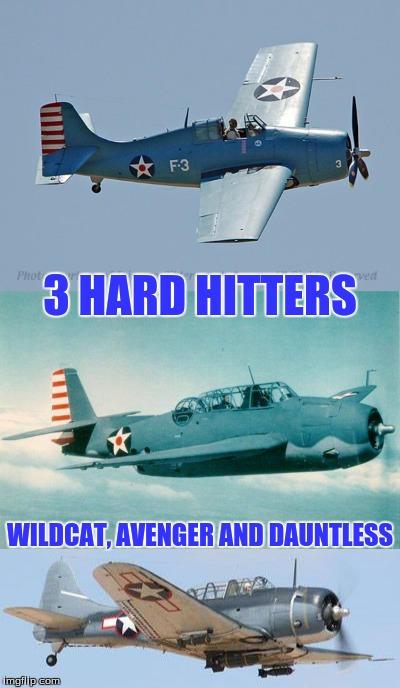 3 HARD HITTERS; WILDCAT, AVENGER AND DAUNTLESS | image tagged in history | made w/ Imgflip meme maker