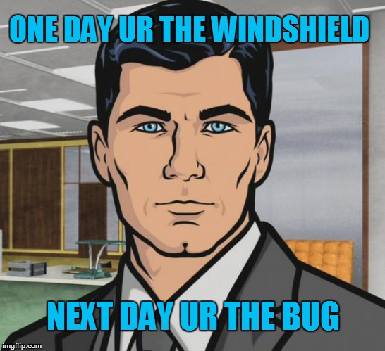 Life  | ONE DAY UR THE WINDSHIELD; NEXT DAY UR THE BUG | image tagged in memes,archer,karma,karma meme,old sayings,life | made w/ Imgflip meme maker