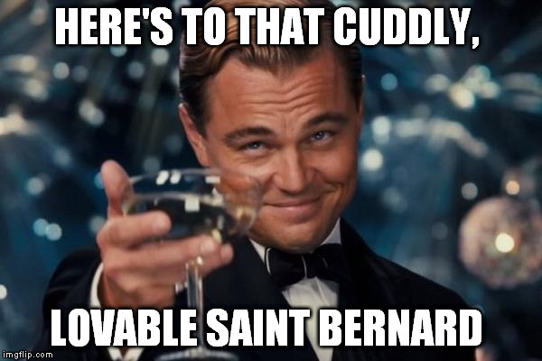 Leonardo Dicaprio Cheers Meme | HERE'S TO THAT CUDDLY, LOVABLE SAINT BERNARD | image tagged in memes,leonardo dicaprio cheers | made w/ Imgflip meme maker