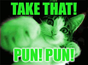 RayCat Fighting Hackers | TAKE THAT! PUN! PUN! | image tagged in raycat fighting hackers | made w/ Imgflip meme maker