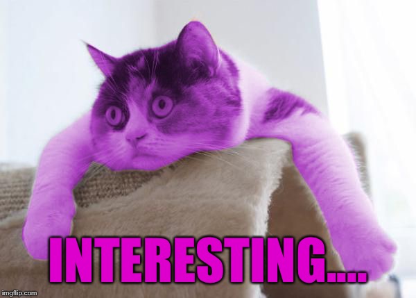 RayCat Stare | INTERESTING.... | image tagged in raycat stare | made w/ Imgflip meme maker