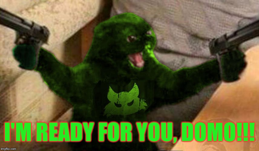 RayCat Angry | I'M READY FOR YOU, DOMO!!! | image tagged in raycat angry | made w/ Imgflip meme maker
