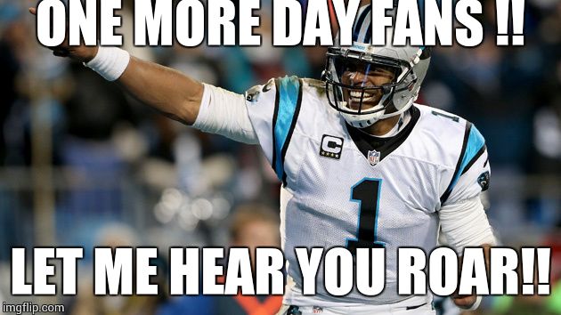 ONE MORE DAY FANS !! LET ME HEAR YOU ROAR!! | image tagged in carolina panthers | made w/ Imgflip meme maker