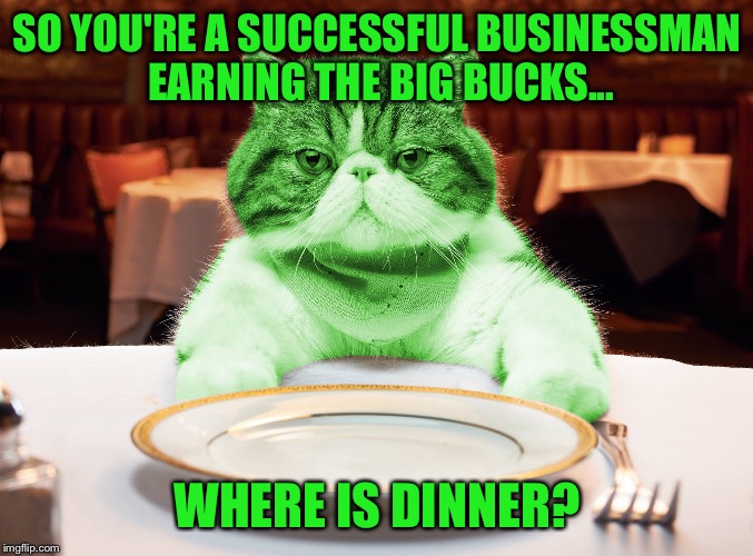 RayCat Hungry | SO YOU'RE A SUCCESSFUL BUSINESSMAN EARNING THE BIG BUCKS... WHERE IS DINNER? | image tagged in raycat hungry | made w/ Imgflip meme maker