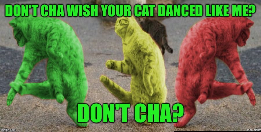 Three Dancing RayCats | DON'T CHA WISH YOUR CAT DANCED LIKE ME? DON'T CHA? | image tagged in three dancing raycats | made w/ Imgflip meme maker