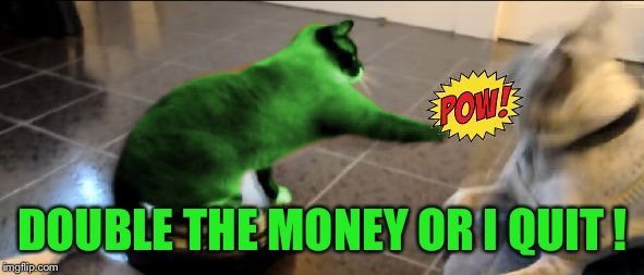 RayCat Roomba | DOUBLE THE MONEY OR I QUIT ! | image tagged in raycat roomba | made w/ Imgflip meme maker