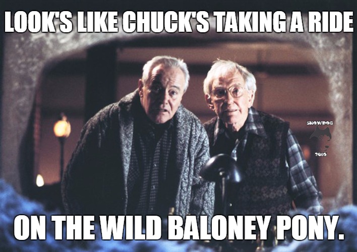 Look's like Chuck's taking a ride on the wild baloney pony. | LOOK'S LIKE CHUCK'S TAKING A RIDE; ON THE WILD BALONEY PONY. | image tagged in chucks blank,funny | made w/ Imgflip meme maker