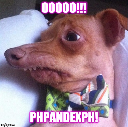 Tuna the dog (Phteven) | OOOOO!!! PHPANDEXPH! | image tagged in tuna the dog phteven | made w/ Imgflip meme maker