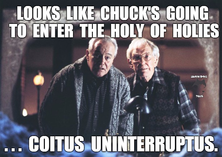 Looks like he's going to enter the holy of holies .. coitus uninterruptus. | LOOKS  LIKE  CHUCK'S  GOING  TO  ENTER  THE  HOLY  OF  HOLIES; . . .  COITUS  UNINTERRUPTUS. | image tagged in chucks blank,funny | made w/ Imgflip meme maker