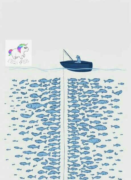 High Quality Fish Blank Meme Template