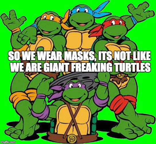 How would one get a disguise? | SO WE WEAR MASKS, ITS NOT LIKE WE ARE GIANT FREAKING TURTLES | image tagged in ninja turtles,face you make robert downey jr,one does not simply,ancient aliens,philosoraptor,kermit the frog | made w/ Imgflip meme maker
