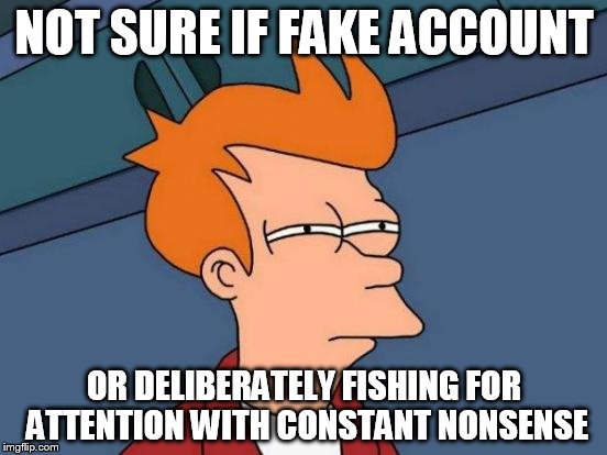 Futurama Fry Meme | NOT SURE IF FAKE ACCOUNT; OR DELIBERATELY FISHING FOR ATTENTION WITH CONSTANT NONSENSE | image tagged in memes,futurama fry | made w/ Imgflip meme maker