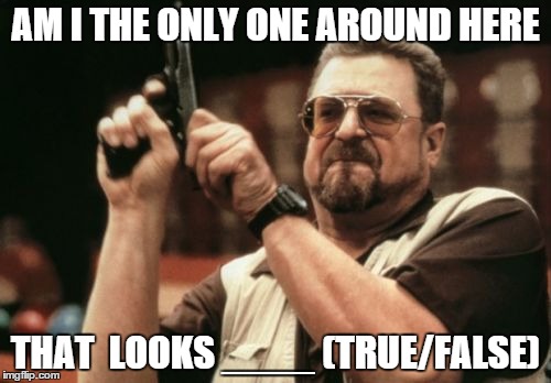 Am I The Only One Around Here | AM I THE ONLY ONE AROUND HERE; THAT  LOOKS ____ (TRUE/FALSE) | image tagged in memes,am i the only one around here | made w/ Imgflip meme maker