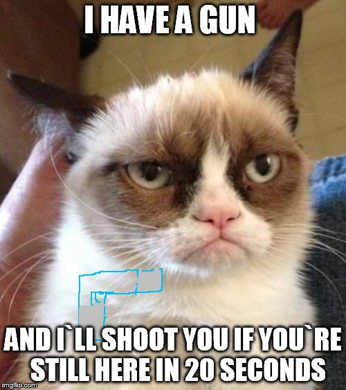 Grumpy Cat Reverse | I HAVE A GUN; AND I`LL SHOOT YOU IF YOU`RE  STILL HERE IN 20 SECONDS | image tagged in memes,grumpy cat reverse,grumpy cat | made w/ Imgflip meme maker