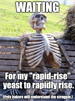 "Mama, can you make pizza!"
"Sure! Why not?" | WAITING; For my "rapid-rise" yeast to rapidly rise. (Only bakers will understand the struggle.) | image tagged in memes,waiting skeleton,baking,dough,bakers | made w/ Imgflip meme maker
