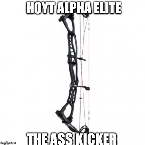 Ass kicker | HOYT ALPHA ELITE; THE ASS KICKER | image tagged in extreme sports | made w/ Imgflip meme maker