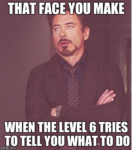 Being a level 100 and over 300 hours... | THAT FACE YOU MAKE; WHEN THE LEVEL 6 TRIES TO TELL YOU WHAT TO DO | image tagged in memes,face you make robert downey jr,payday 2,world of warcraft,wow,online gaming | made w/ Imgflip meme maker
