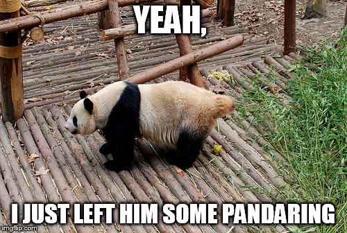 YEAH, I JUST LEFT HIM SOME PANDARING | made w/ Imgflip meme maker