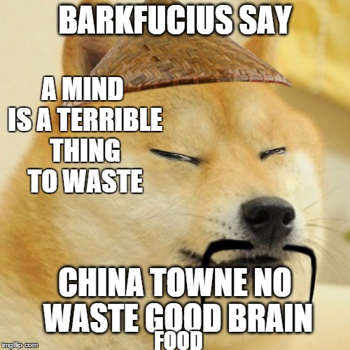 hot in pot fo yu | BARKFUCIUS SAY; A MIND IS A TERRIBLE THING TO WASTE; CHINA TOWNE NO WASTE GOOD BRAIN; FOOD | image tagged in barkfucius asian doge barkfucious,memes,funny memes,funny dog | made w/ Imgflip meme maker