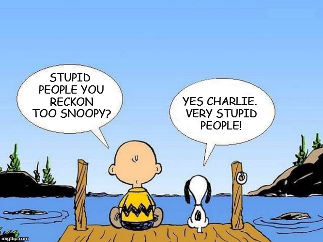 Snoopy  | STUPID PEOPLE YOU RECKON TOO SNOOPY? YES CHARLIE. VERY STUPID PEOPLE! | image tagged in snoopy | made w/ Imgflip meme maker
