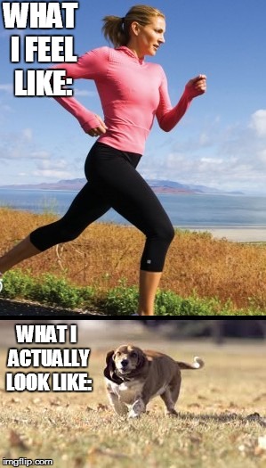 Why running is so hard?!   XD | WHAT I FEEL LIKE:; WHAT I ACTUALLY LOOK LIKE: | image tagged in running,dog | made w/ Imgflip meme maker