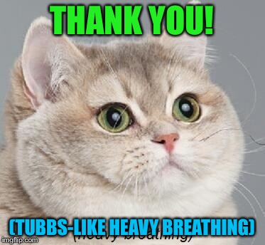 fat cat | THANK YOU! (TUBBS-LIKE HEAVY BREATHING) | image tagged in fat cat | made w/ Imgflip meme maker