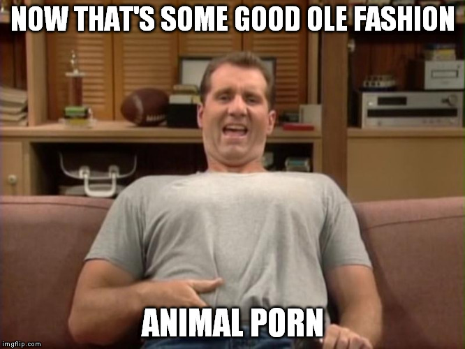 NOW THAT'S SOME GOOD OLE FASHION ANIMAL PORN | made w/ Imgflip meme maker
