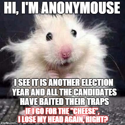 i express my views anonymousely | HI, I'M ANONYMOUSE; I SEE IT IS ANOTHER ELECTION YEAR AND ALL THE CANDIDATES HAVE BAITED THEIR TRAPS; IF I GO FOR THE "CHEESE", I LOSE MY HEAD AGAIN, RIGHT? | image tagged in anonymouse,memes,funny memes,political,election 2016 | made w/ Imgflip meme maker