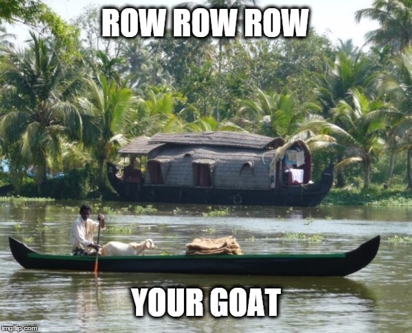 ROW ROW ROW; YOUR GOAT | image tagged in goat boat | made w/ Imgflip meme maker