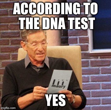 Maury Lie Detector Meme | ACCORDING TO THE DNA TEST YES | image tagged in memes,maury lie detector | made w/ Imgflip meme maker