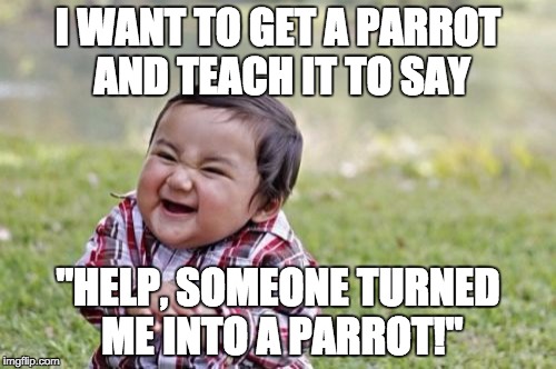 Evil Toddler Meme | I WANT TO GET A PARROT AND TEACH IT TO SAY; "HELP, SOMEONE TURNED ME INTO A PARROT!" | image tagged in memes,evil toddler | made w/ Imgflip meme maker