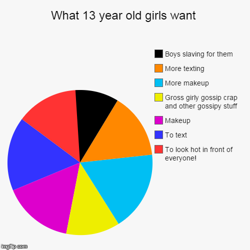 image tagged in funny,pie charts | made w/ Imgflip chart maker