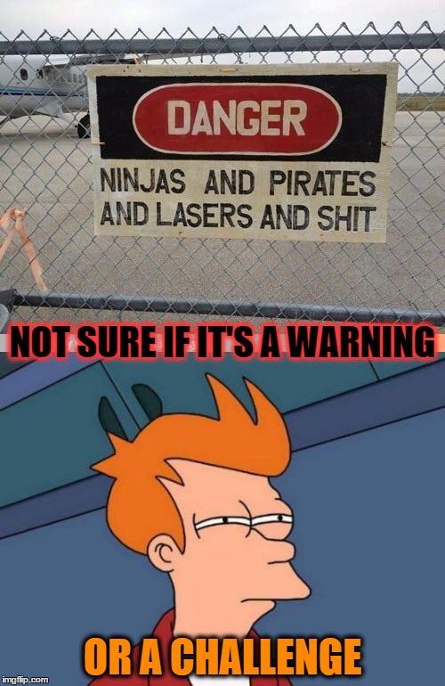 Futurama Fry |  NOT SURE IF IT'S A WARNING; OR A CHALLENGE | image tagged in futurama fry,danger sign,not sure if,meme | made w/ Imgflip meme maker