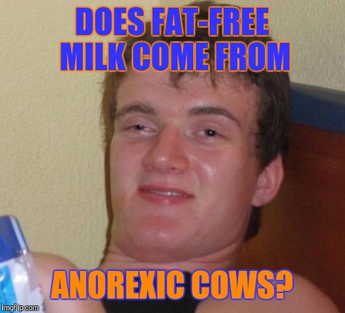 Where Does Fat-free Milk Come From? | DOES FAT-FREE MILK COME FROM; ANOREXIC COWS? | image tagged in memes,10 guy | made w/ Imgflip meme maker