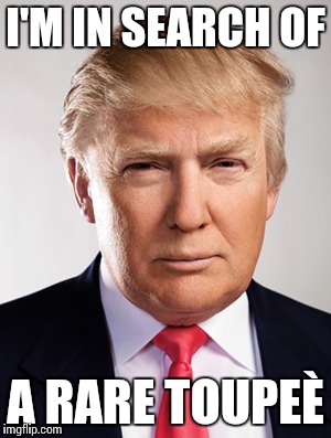 Donald Trump | I'M IN SEARCH OF; A RARE TOUPEÈ | image tagged in donald trump | made w/ Imgflip meme maker